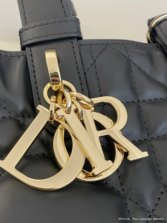 Tony Luxuries Toujours Large Bag diro 0816